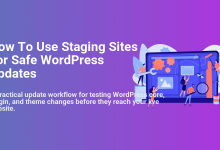 Illustration of people testing a WordPress website on a staging site, preparing for safe updates and maintenance.