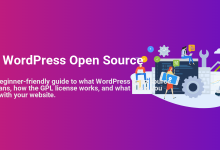 WordPress Open Source explanation featuring developers, code, and web tools, highlighting the collaborative and modifiable nature of the platform.