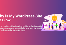 Team finds solutions for a slow WordPress site, with a lightbulb, charts, and collaboration to fix performance bottlenecks.
