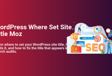WordPress site title settings for Moz SEO audits, featuring people with search tools, a trophy, and 'SEO' text.