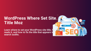 WordPress site title settings for Moz SEO audits, featuring people with search tools, a trophy, and 'SEO' text.